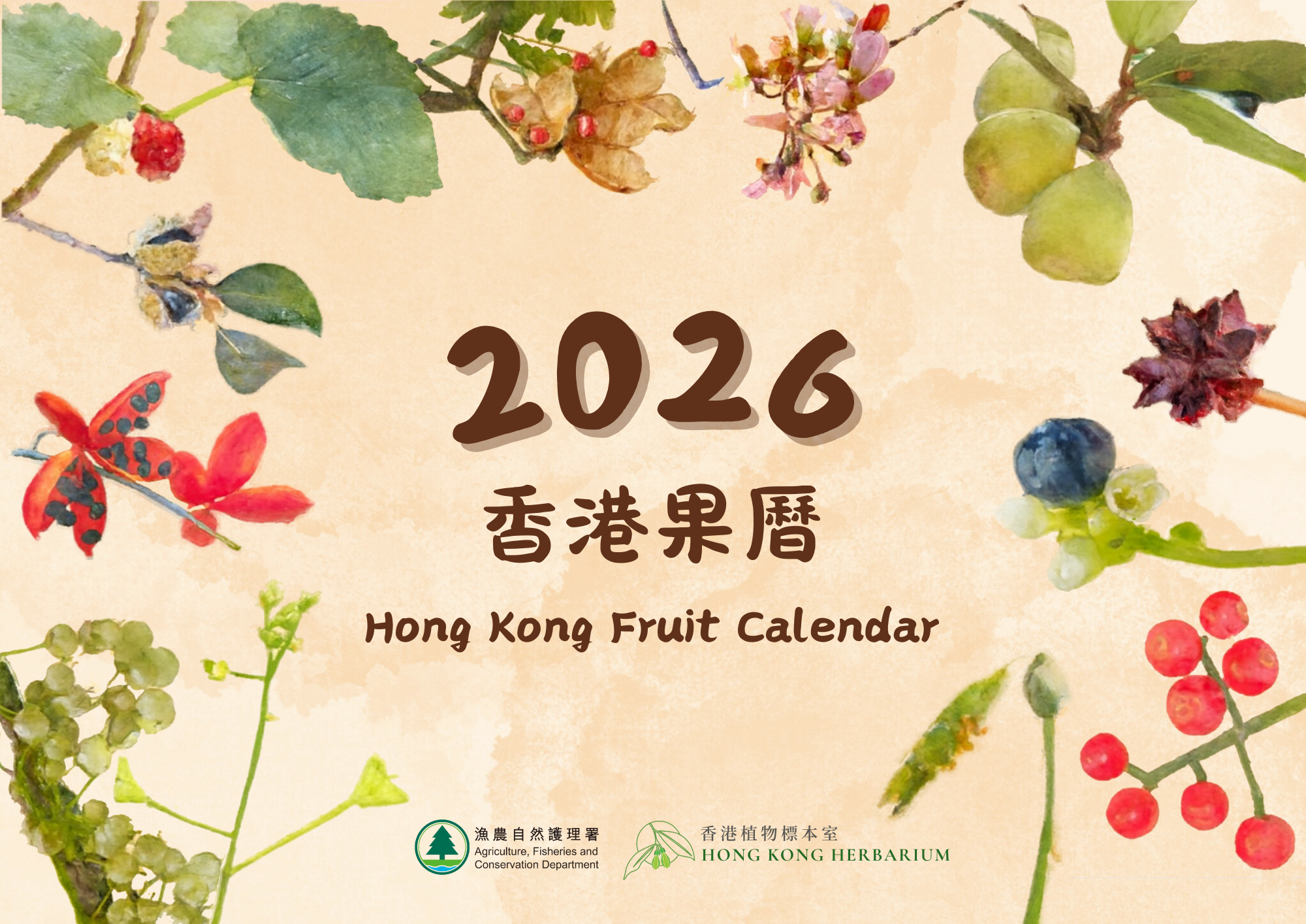 HK Herbarium News Hong Kong Fruit Calendar 2026 Is Now Available HK Fruit Calendar 2026 Cover 