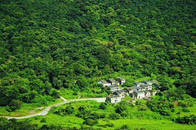 Wong Chuk Yeung fung shui wood at Sai Kung