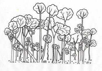 Vertical stratification of plants in fung shui woods