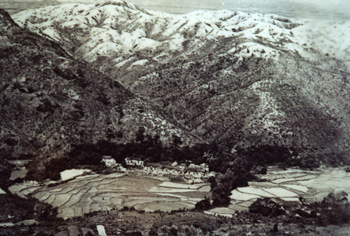 The dense vegetation of fung shui wood backing onto denuded hillslopes (ca. 1960s)