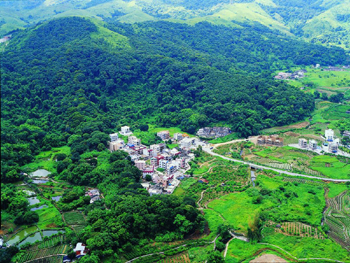 社山村風水林