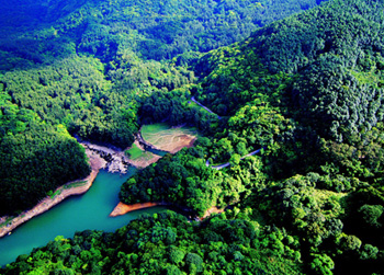 城門風水林