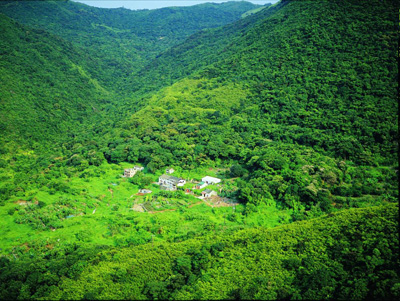 馬鞍山梅子林風水林