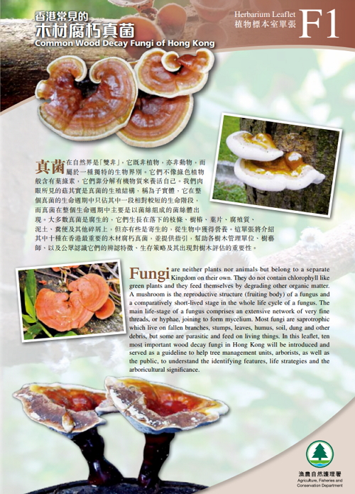 F1. Common Wood Decay Fungi of Hong Kong