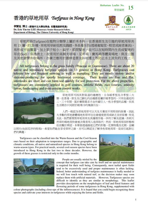 15. Turfgrass in Hong Kong