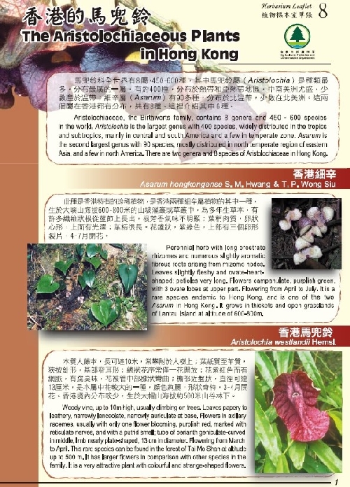 8. The Aristolochiaceous plants in Hong Kong (Bilingual)