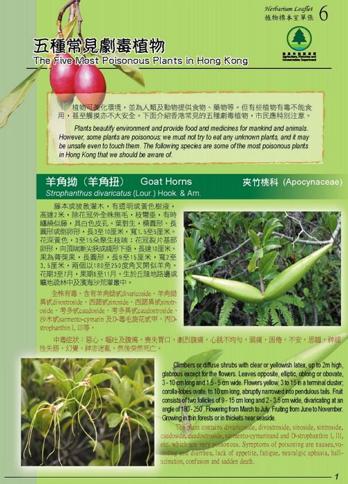 6. The Five most poisonous plants in Hong Kong (Bilingual)