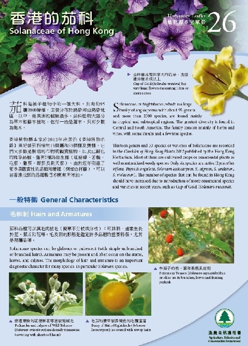 26. Solanaceae of Hong Kong